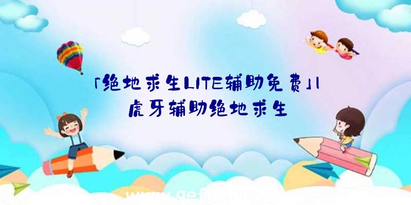 「绝地求生LITE辅助免费」|虎牙辅助绝地求生